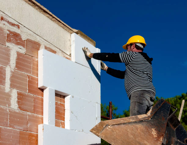 Best Cellulose Insulation in Delhi Hills, OH