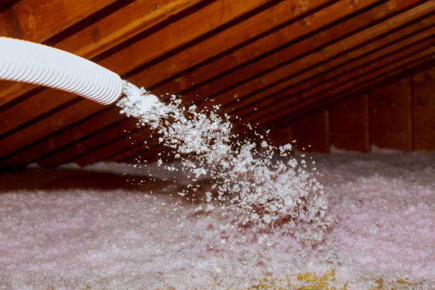 Best Commercial Insulation in Delhi Hills, OH